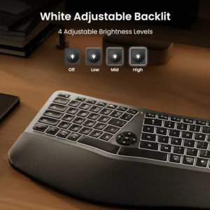 Teclado Ergonómico Bluetooth ProtoArc Ek01 Plus Retroiluminado