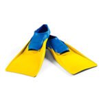 10503703 - Imagen 12
