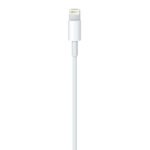 Cable Lightning A Usb Apple 1m En Caja Retail - Imagen 2