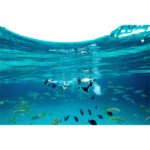 SR2510410L - Imagen 5