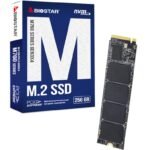 Disco M.2 SSD Biostar 256GB