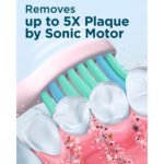 Cepillo De Dientes Eléctrico Rtauys M5 Sonic 41000vpm - Imagen 4