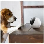 Camara Wifi Ezviz CS-H6   3K  (CS-H6-R100-1J5WF)  EZVIZ