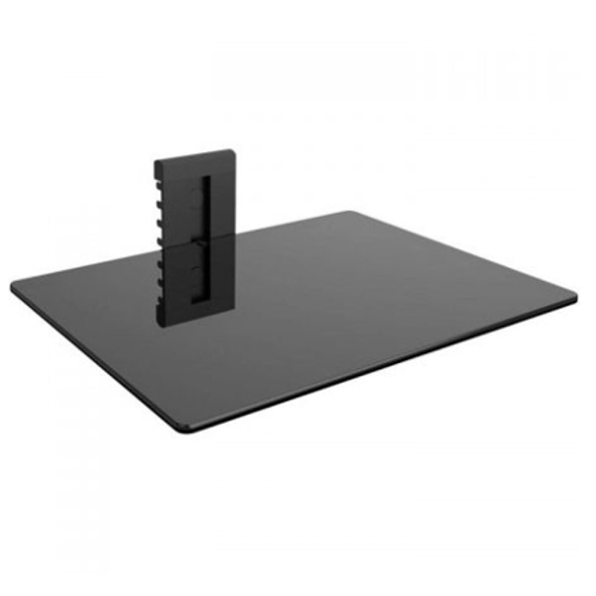 Soporte One de Pared Con base Hasta 10Kg - Imagen 3