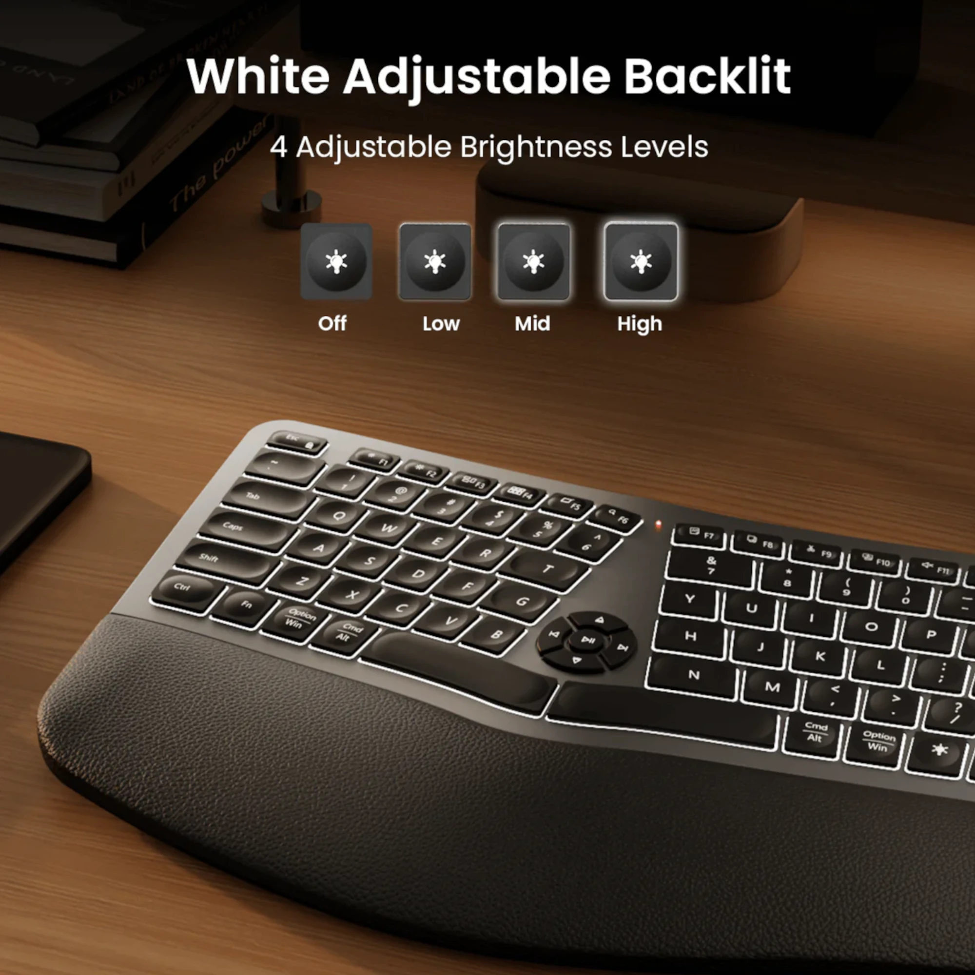 EK01PLUSGY-05.webp Teclado Ergonómico Bluetooth ProtoArc Ek01 Plus Retroiluminado - Imagen 1