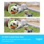 Cámara De Seguridad Tp-Link Tapo C420S1 X2 Exterior Visión Nocturna 2K QHD - Imagen 3