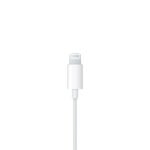 Auriculares Apple Earpods Lightning Llamadas En Caja Retail